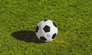 足球明星C罗庆祝进球的标志性动作